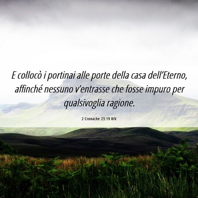Picture 06 - 2 Cronache 23:19 RIV - E collocò i portinai alle porte della casa - Bible Verse Picture