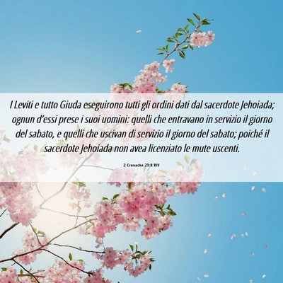 Picture 06 - 2 Cronache 23:8 RIV - I Leviti e tutto Giuda eseguirono tutti gli - Bible Verse Picture