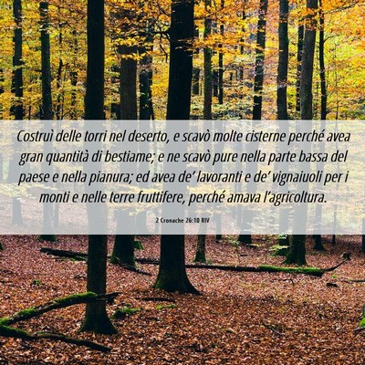 Picture 06 - 2 Cronache 26:10 RIV - Costruì delle torri nel deserto, e scavò molte - Bible Verse Picture