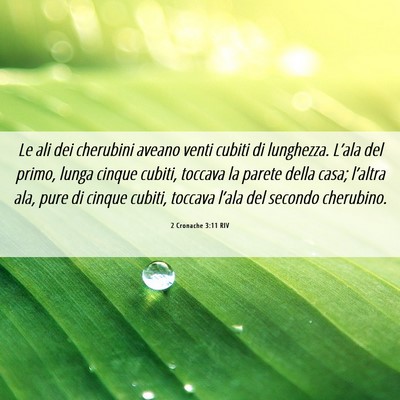 Picture 06 - 2 Cronache 3:11 RIV - Le ali dei cherubini aveano venti cubiti di - Bible Verse Picture