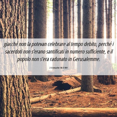 Picture 06 - 2 Cronache 30:3 RIV - giacché non la potevan celebrare al tempo - Bible Verse Picture