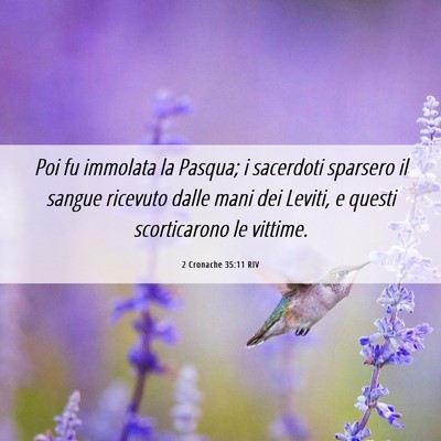 Picture 06 - 2 Cronache 35:11 RIV - Poi fu immolata la Pasqua; i sacerdoti sparsero - Bible Verse Picture