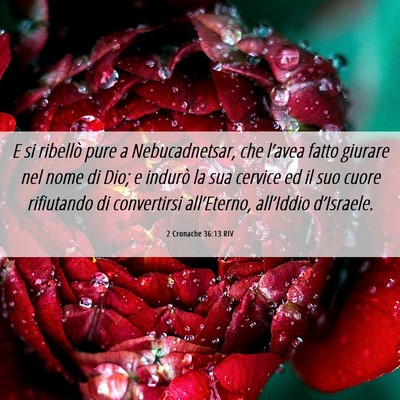 Picture 06 - 2 Cronache 36:13 RIV - E si ribellò pure a Nebucadnetsar, che l’avea - Bible Verse Picture