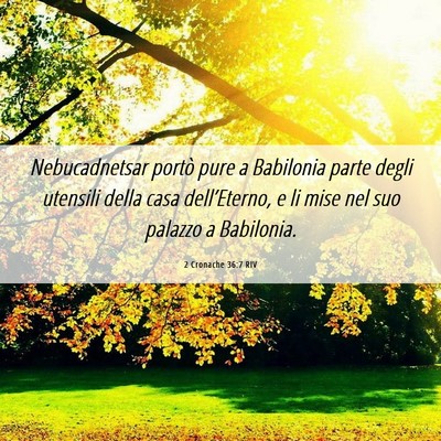 Picture 06 - 2 Cronache 36:7 RIV - Nebucadnetsar portò pure a Babilonia parte degli - Bible Verse Picture