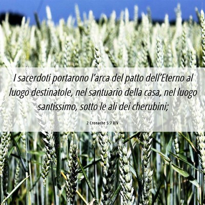 Picture 06 - 2 Cronache 5:7 RIV - I sacerdoti portarono l’arca del patto - Bible Verse Picture