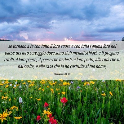 Picture 06 - 2 Cronache 6:38 RIV - se tornano a te con tutto il loro cuore e con - Bible Verse Picture