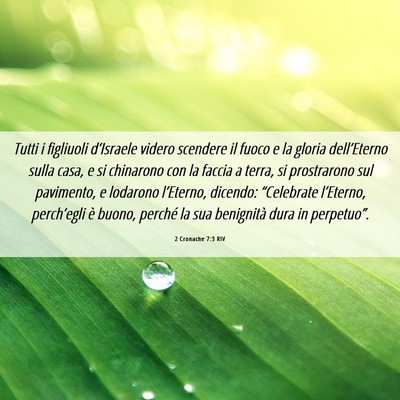 Picture 06 - 2 Cronache 7:3 RIV - Tutti i figliuoli d’Israele videro scendere il - Bible Verse Picture