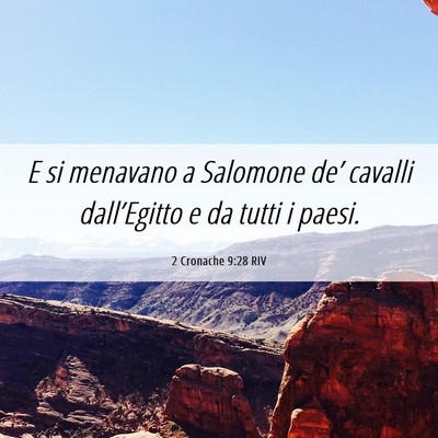 Picture 06 - 2 Cronache 9:28 RIV - E si menavano a Salomone de’ cavalli - Bible Verse Picture
