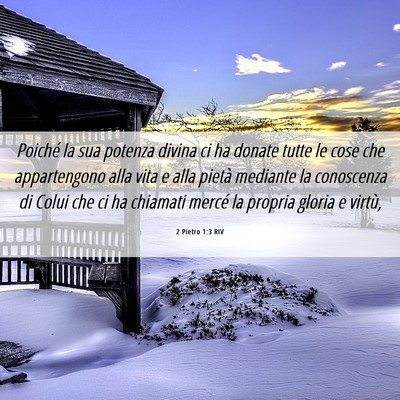 Picture 06 - 2 Pietro 1:3 RIV - Poiché la sua potenza divina ci ha donate tutte - Bible Verse Picture