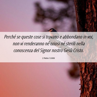 Picture 06 - 2 Pietro 1:8 RIV - Perché se queste cose si trovano e abbondano in - Bible Verse Picture