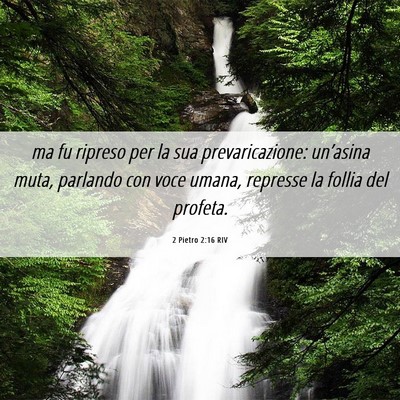 Picture 06 - 2 Pietro 2:16 RIV - ma fu ripreso per la sua prevaricazione: - Bible Verse Picture