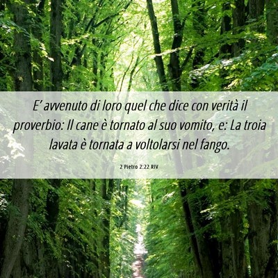 Picture 06 - 2 Pietro 2:22 RIV - E’ avvenuto di loro quel che dice con verità - Bible Verse Picture