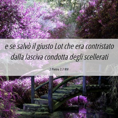 Picture 06 - 2 Pietro 2:7 RIV - e se salvò il giusto Lot che era contristato - Bible Verse Picture