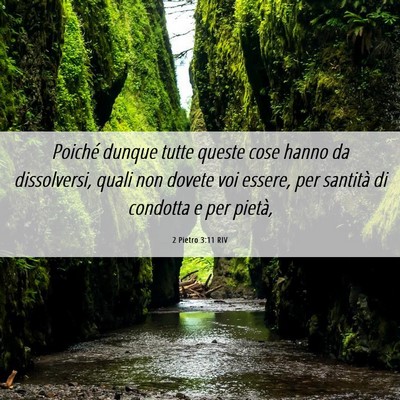 Picture 06 - 2 Pietro 3:11 RIV - Poiché dunque tutte queste cose hanno da - Bible Verse Picture