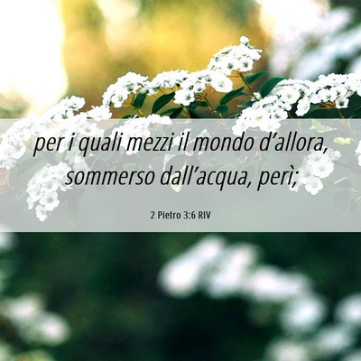 Picture 06 - 2 Pietro 3:6 RIV - per i quali mezzi il mondo d’allora, sommerso - Bible Verse Picture