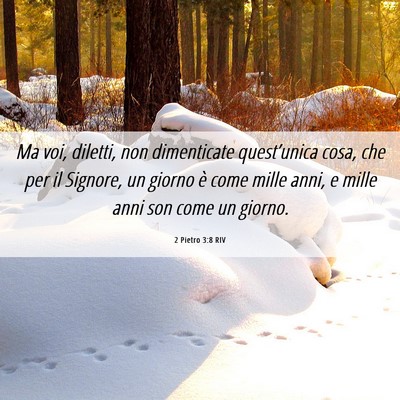 Picture 06 - 2 Pietro 3:8 RIV - Ma voi, diletti, non dimenticate quest’unica - Bible Verse Picture