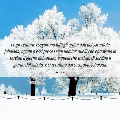 Picture 06 - 2 Re 11:9 RIV - I capi-centurie eseguirono tutti gli ordini dati - Bible Verse Picture