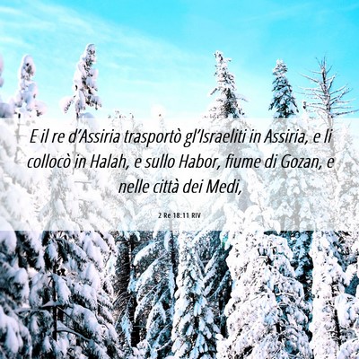 Picture 06 - 2 Re 18:11 RIV - E il re d’Assiria trasportò gl’Israeliti in - Bible Verse Picture