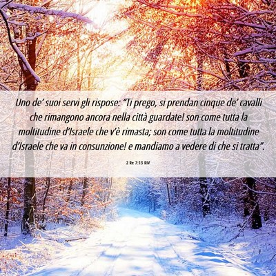 Picture 06 - 2 Re 7:13 RIV - Uno de’ suoi servi gli rispose: “Ti prego, si - Bible Verse Picture