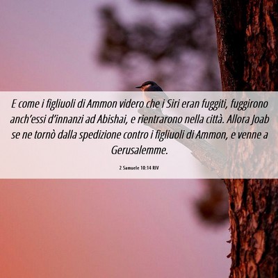 Picture 06 - 2 Samuele 10:14 RIV - E come i figliuoli di Ammon videro che i Siri - Bible Verse Picture