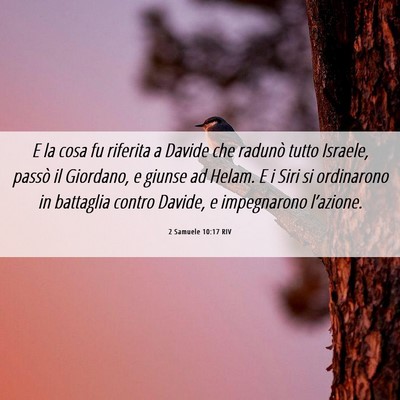 Picture 06 - 2 Samuele 10:17 RIV - E la cosa fu riferita a Davide che radunò tutto - Bible Verse Picture