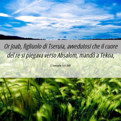 Picture 06 - 2 Samuele 14:1 RIV - Or Joab, figliuolo di Tseruia, avvedutosi che il - Bible Verse Picture