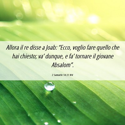 Picture 06 - 2 Samuele 14:21 RIV - Allora il re disse a Joab: “Ecco, voglio fare - Bible Verse Picture