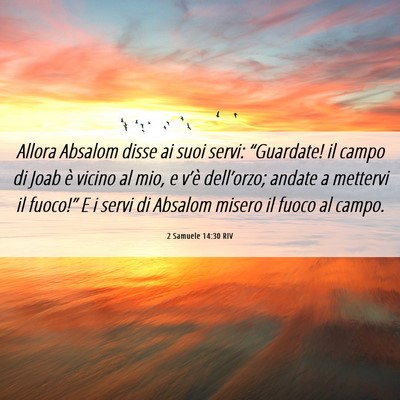 Picture 06 - 2 Samuele 14:30 RIV - Allora Absalom disse ai suoi servi: “Guardate! - Bible Verse Picture