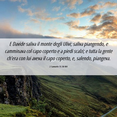 Picture 06 - 2 Samuele 15:30 RIV - E Davide saliva il monte degli Ulivi; saliva - Bible Verse Picture