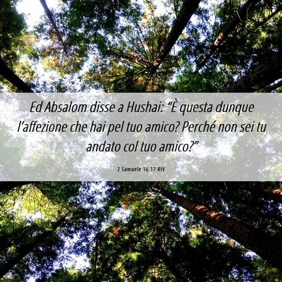 Picture 06 - 2 Samuele 16:17 RIV - Ed Absalom disse a Hushai: “È questa dunque - Bible Verse Picture