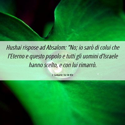 Picture 06 - 2 Samuele 16:18 RIV - Hushai rispose ad Absalom: “No; io sarò di - Bible Verse Picture