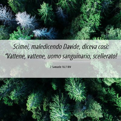 Picture 06 - 2 Samuele 16:7 RIV - Scimei, maledicendo Davide, diceva così: - Bible Verse Picture