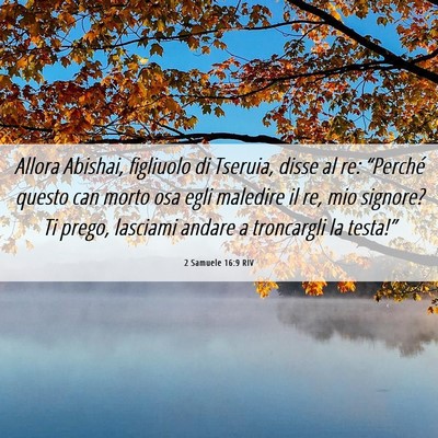 Picture 06 - 2 Samuele 16:9 RIV - Allora Abishai, figliuolo di Tseruia, disse al - Bible Verse Picture