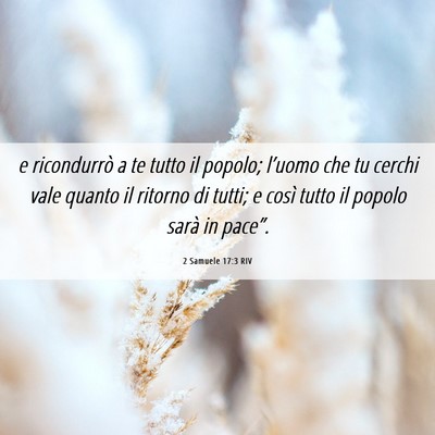 Picture 06 - 2 Samuele 17:3 RIV - e ricondurrò a te tutto il popolo; l’uomo che - Bible Verse Picture
