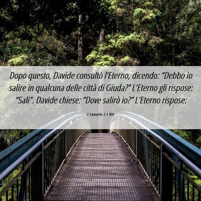 Picture 06 - 2 Samuele 2:1 RIV - Dopo questo, Davide consultò l’Eterno, - Bible Verse Picture