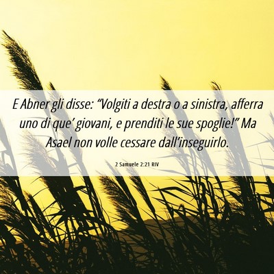 Picture 06 - 2 Samuele 2:21 RIV - E Abner gli disse: “Volgiti a destra o a - Bible Verse Picture