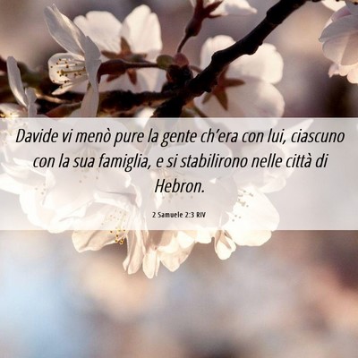 Picture 06 - 2 Samuele 2:3 RIV - Davide vi menò pure la gente ch’era con lui, - Bible Verse Picture