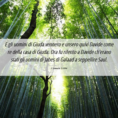 Picture 06 - 2 Samuele 2:4 RIV - E gli uomini di Giuda vennero e unsero quivi - Bible Verse Picture
