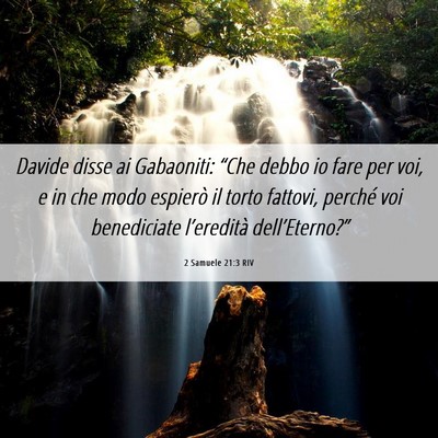 Picture 06 - 2 Samuele 21:3 RIV - Davide disse ai Gabaoniti: “Che debbo io fare - Bible Verse Picture