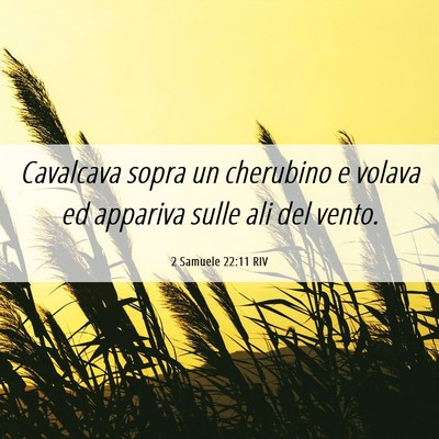 Picture 06 - 2 Samuele 22:11 RIV - Cavalcava sopra un cherubino e volava ed appariva - Bible Verse Picture