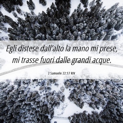 Picture 06 - 2 Samuele 22:17 RIV - Egli distese dall’alto la mano mi prese, mi - Bible Verse Picture
