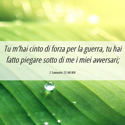 Picture 06 - 2 Samuele 22:40 RIV - Tu m’hai cinto di forza per la guerra, tu hai - Bible Verse Picture
