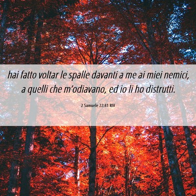 Picture 06 - 2 Samuele 22:41 RIV - hai fatto voltar le spalle davanti a me ai miei - Bible Verse Picture