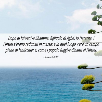 Picture 06 - 2 Samuele 23:11 RIV - Dopo di lui veniva Shamma, figliuolo di Aghé, lo - Bible Verse Picture