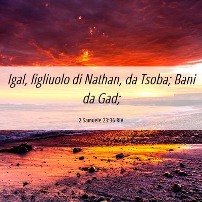 Picture 06 - 2 Samuele 23:36 RIV - Igal, figliuolo di Nathan, da Tsoba; Bani da - Bible Verse Picture