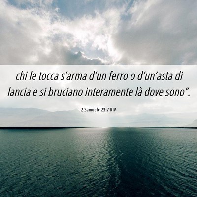 Picture 06 - 2 Samuele 23:7 RIV - chi le tocca s’arma d’un ferro o - Bible Verse Picture