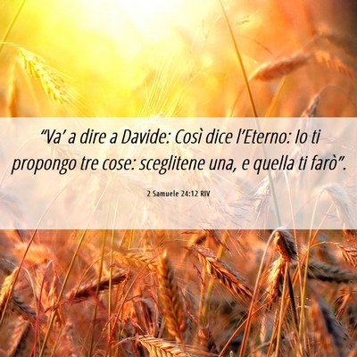 Picture 06 - 2 Samuele 24:12 RIV - “Va’ a dire a Davide: Così dice l’Eterno: - Bible Verse Picture