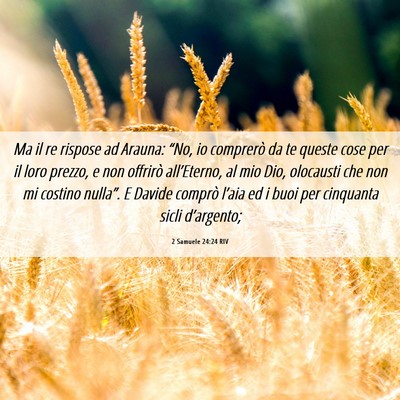 Picture 06 - 2 Samuele 24:24 RIV - Ma il re rispose ad Arauna: “No, io comprerò - Bible Verse Picture