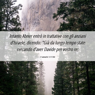 Picture 06 - 2 Samuele 3:17 RIV - Intanto Abner entrò in trattative con gli - Bible Verse Picture