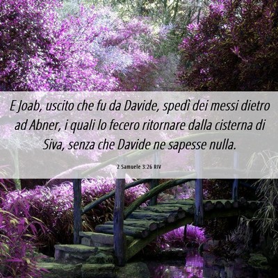 Picture 06 - 2 Samuele 3:26 RIV - E Joab, uscito che fu da Davide, spedì dei messi - Bible Verse Picture